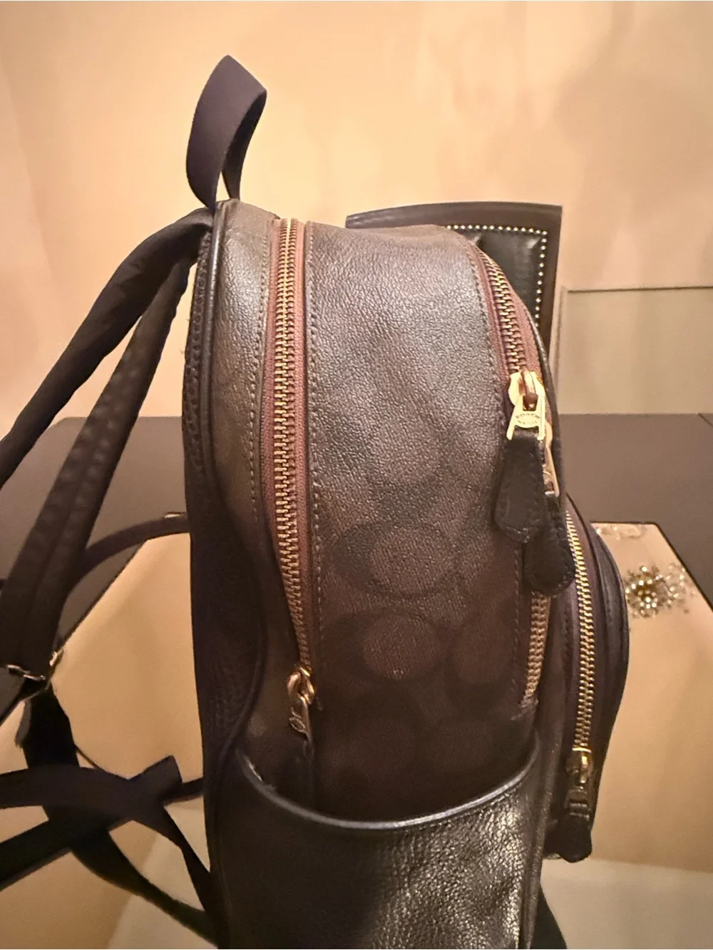 Coach Dark Brown Signature Mini Backpack with Gold Hardware
